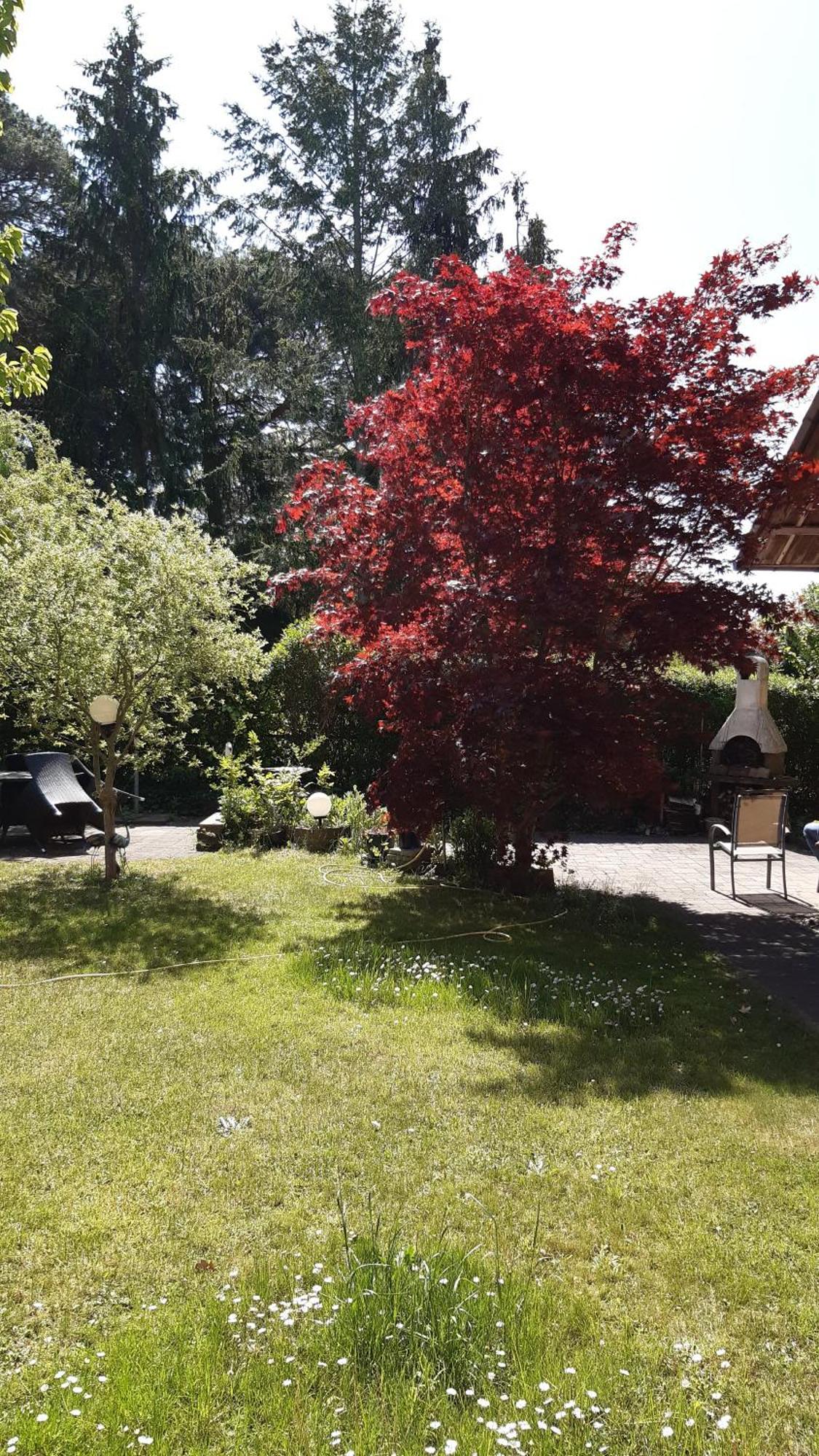 Apartment Luise, Gemuetlich, Freundlich Und Ganz Nah An Berlin Oranienburg